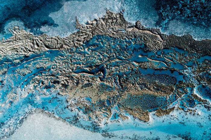 Ocean Life by Petra Meikle de Vlas  - Photography poster