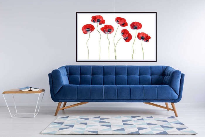 Ladybird Poppies by Mandy Disher  - Nature Photography poster