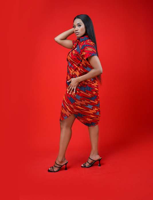 Naledi Shirt Dress