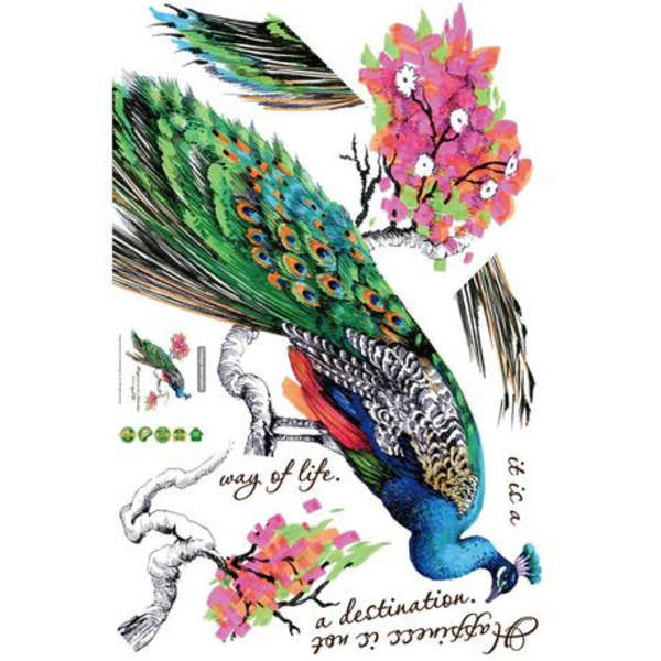 Vibrant Peacock with Encouraging Quote decor/ Wall Art - Code 9153