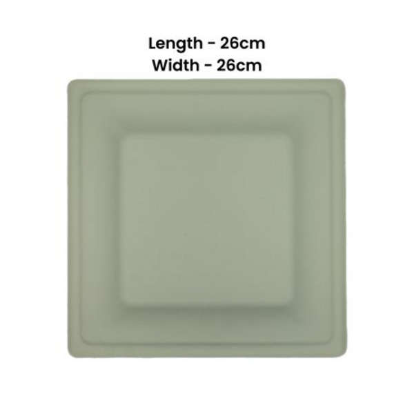 Sugarcane Square Plate Eco-Friendly - 26cm - Pack of 100