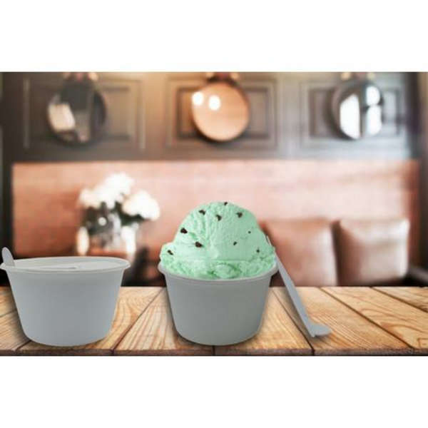 240ml Sugarcane Bowl - Pack Of 50