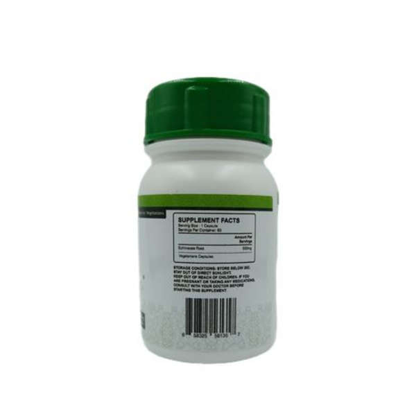 Healthy Life - Echinacea Root Capsules