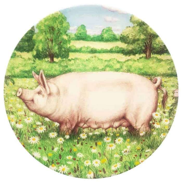 Royal Doulton Pigs in Bloom Daisy Wall Plate