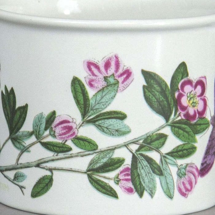 Portmeirion Botanic Garden Tea Duo Rhododendron Lepidotum