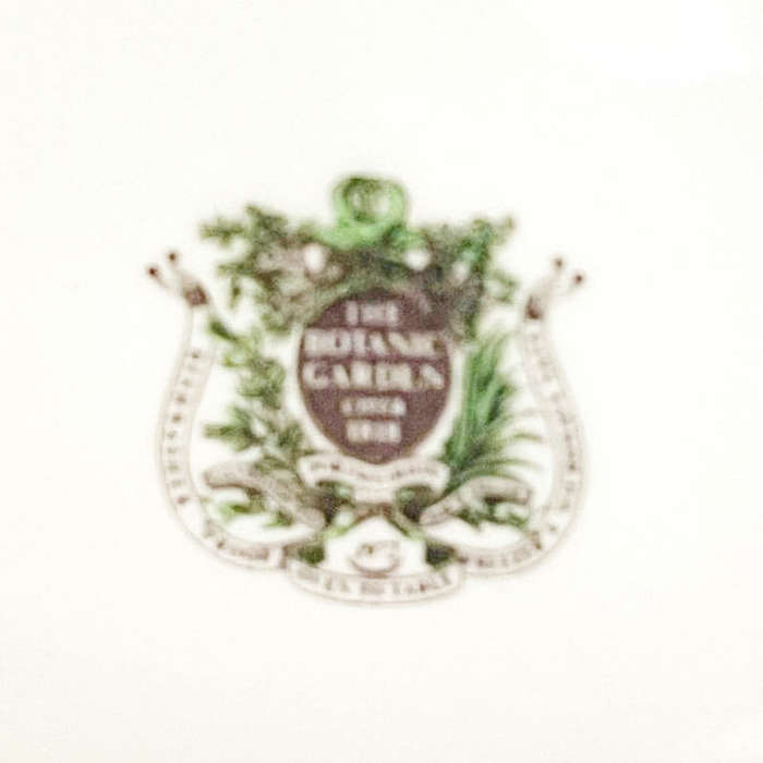 Portmeirion Botanic Garden Breakfast Tea Duo Speedwell