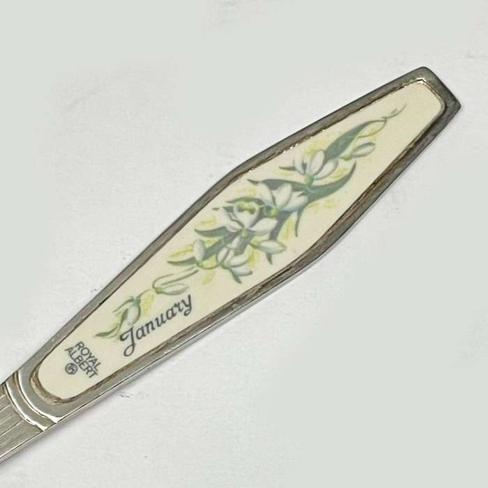 Royal Albert Flower of The Month January Tea Spoon