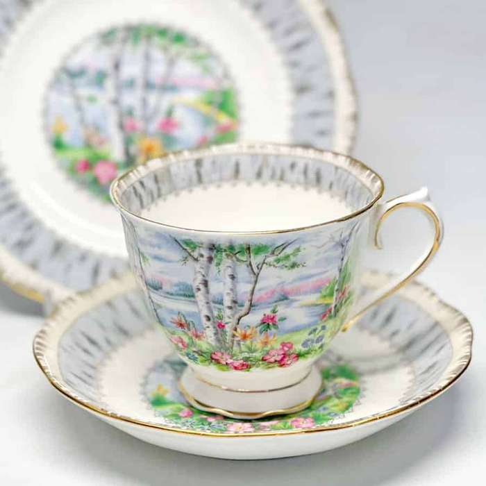 Royal Albert Silver Birch Tea Trio