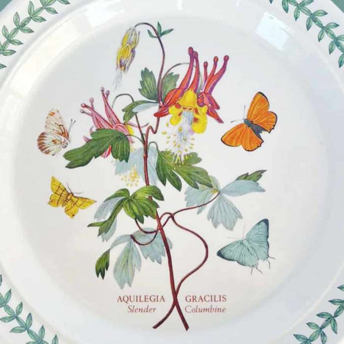 Portmeirion Botanic Garden Slender Columbine Entree Plate