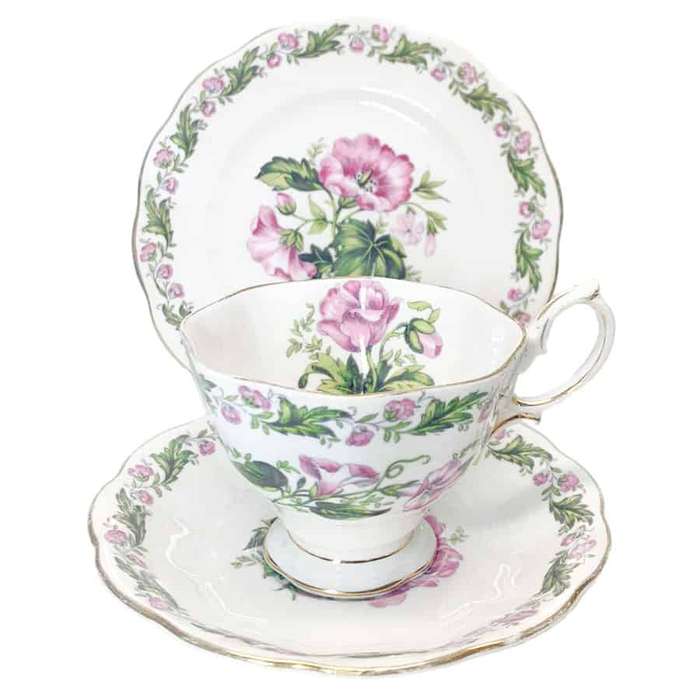 Royal Albert Cotswold Malvern Trio