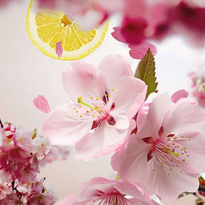 Cherry Blossom - Lampe Berger Fragrance 500ml