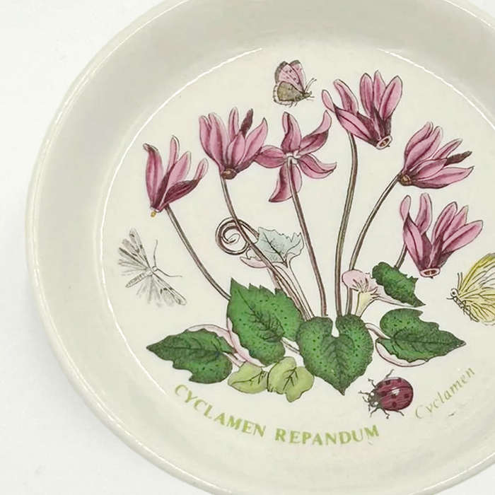 Portmeirion Botanic Garden Nut Dish Ivy Leaved Cyclamen