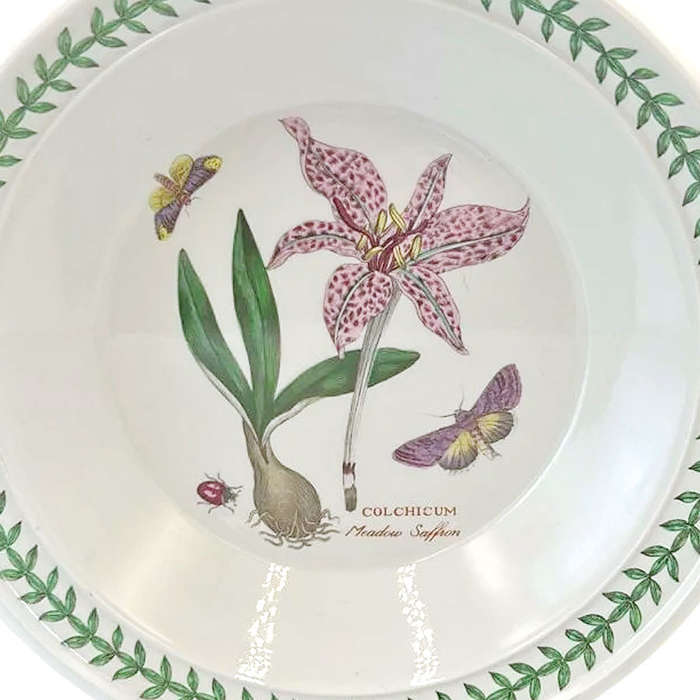 Portmeirion Cereal Bowl Botanic Garden Meadow Saffron