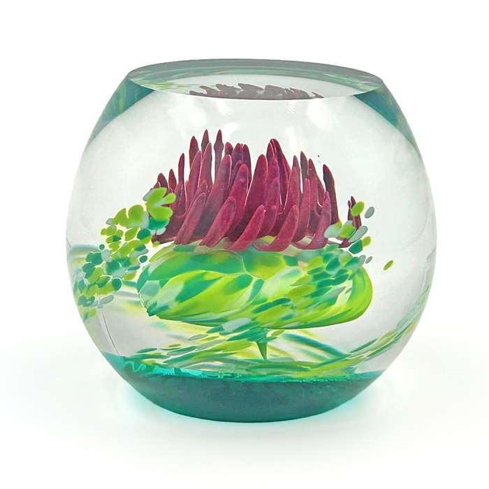 Caithness Scotland Caledonian Thistle  Glass Paperweight