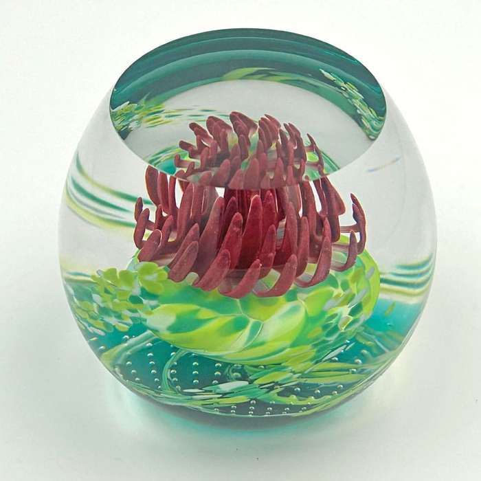 Caithness Scotland Caledonian Thistle  Glass Paperweight