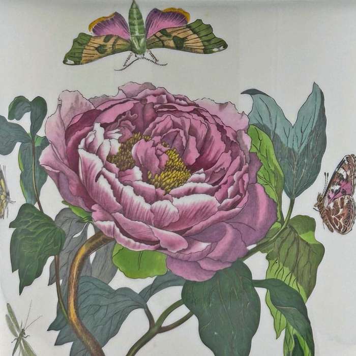 Portmeirion Botanic Garden Lidded Jar Shrubby Peony