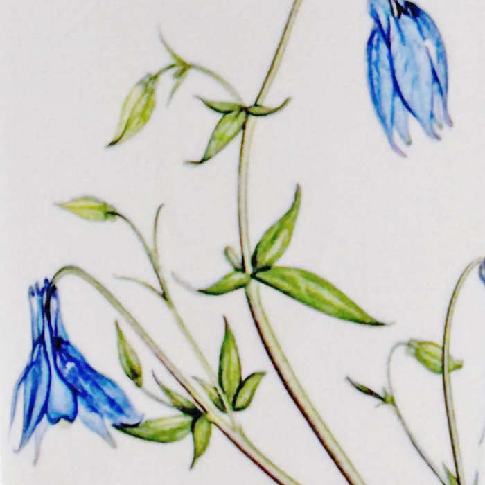 Portmeirion Vase The Queens Hidden Garden Blue Bells