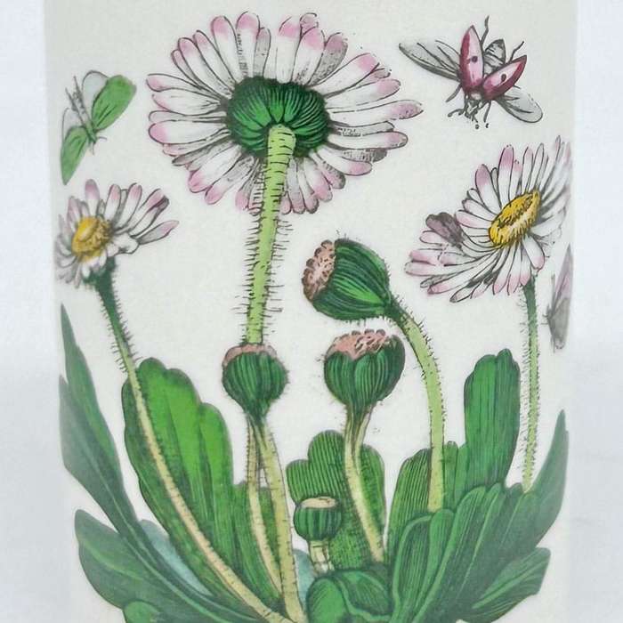 Portmeirion Botanic Garden Salt Cellar Daisy