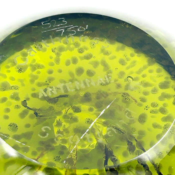 Caithness Scotland Antennae Art Glass Paperweight LTD Edition