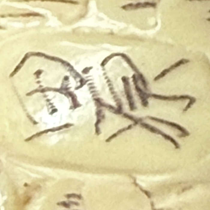 Japanese Ivorine  Netsuke Carp Signed 19th