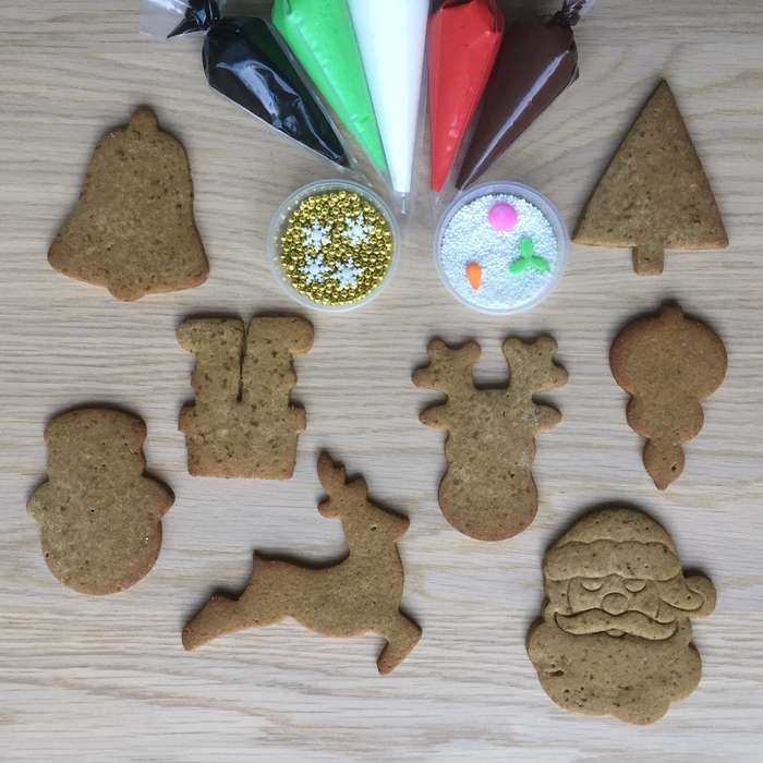 Christmas Cookie Decorating Kit
