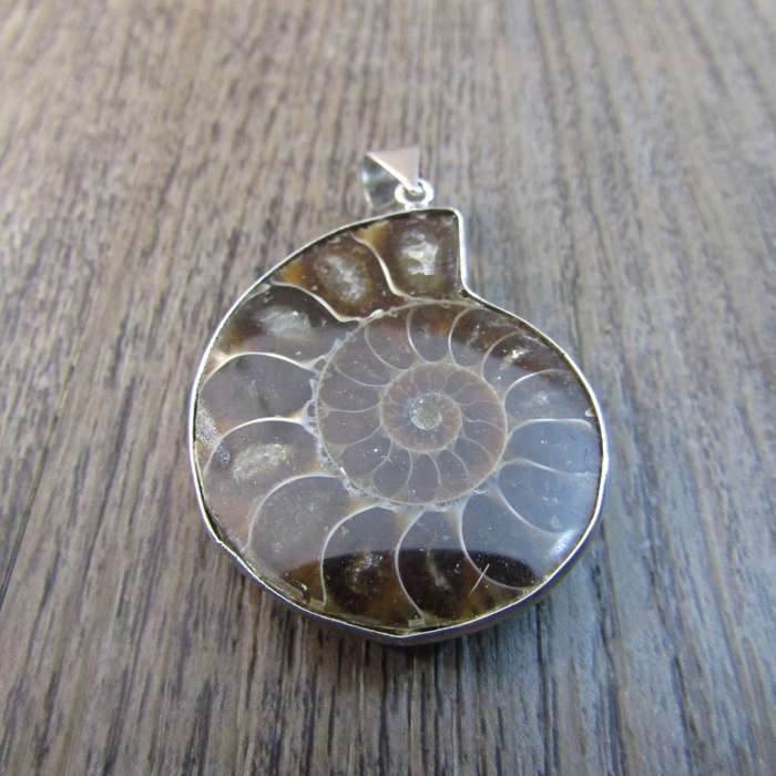 Ammonite Fossil Pendant