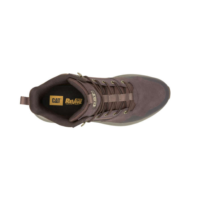 CAT Colorado Sneaker - Coffee Bean / Rain Drum