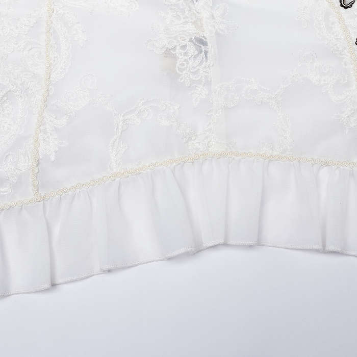 Chiffon Embroidered Perspective Blouse