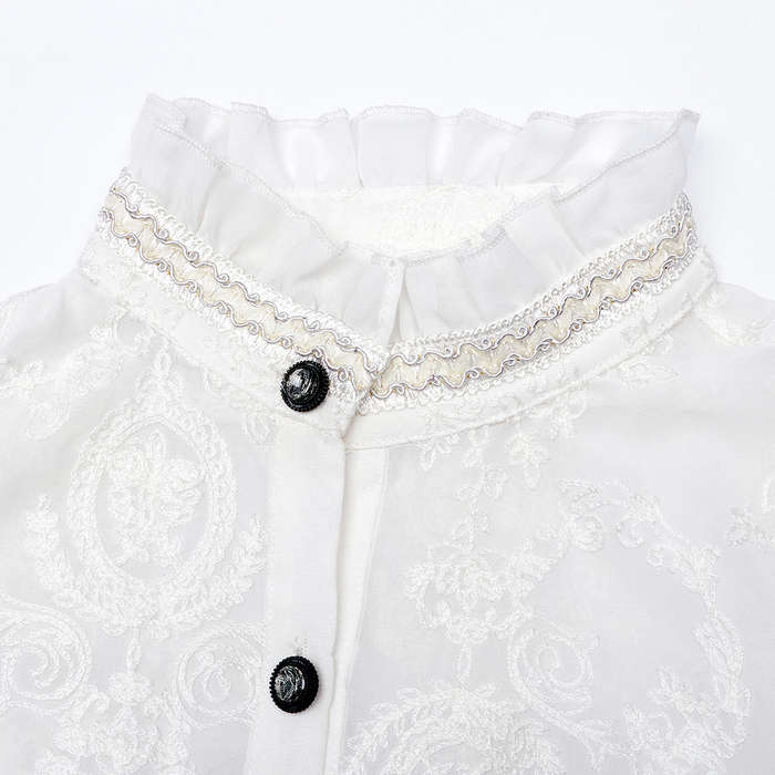 Chiffon Embroidered Perspective Blouse