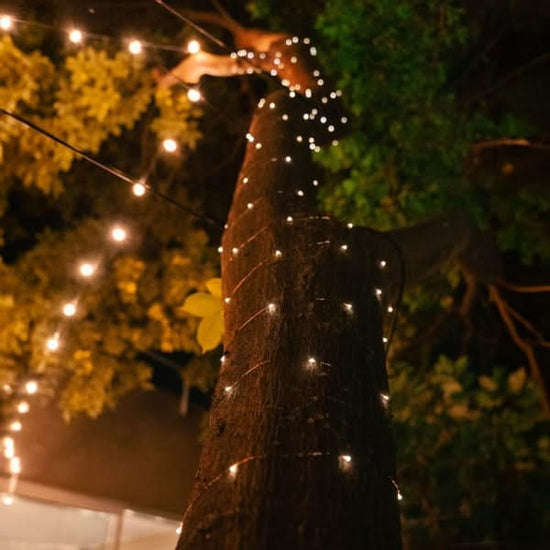 Copper Wire Solar Fairy Light