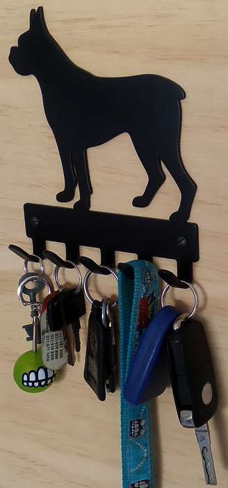 Eboy Steel Boxer Key Rack or Leash Hanger - 5 Hooks - Black
