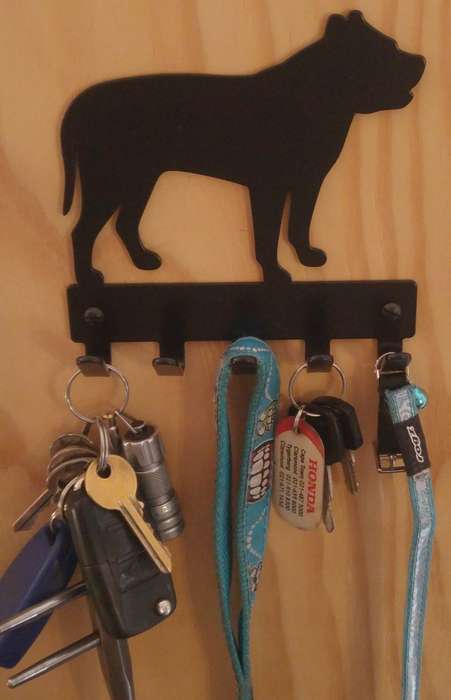 Eboy Steel Pitbull Key Rack or Leash Hanger - 5 Hooks - Black