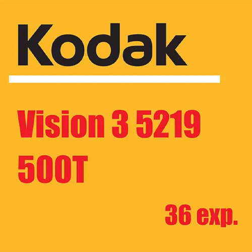 Kodak VISION 3 500T/5219 (24 exp.) - 35mm Film Roll