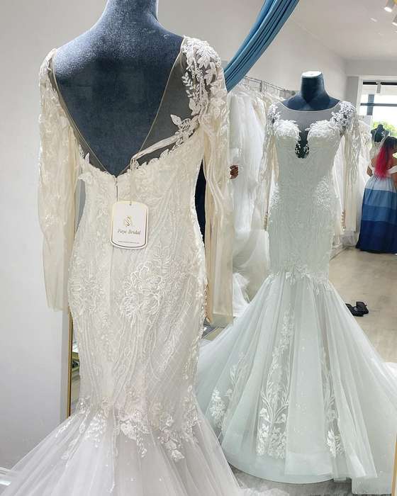 (Rental) Zara Long Sleeves Beaded Lace Mermaid Dress.