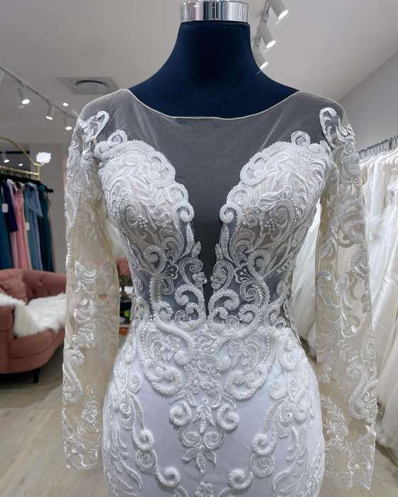 (Rental) Logan , mermaid lace detail sleeves wedding dress.