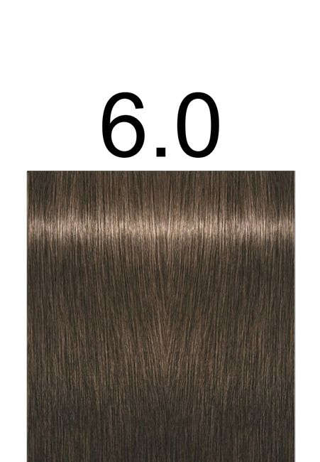 Igora Royal Professional -60ml +60ml 20vol developer - 6.0