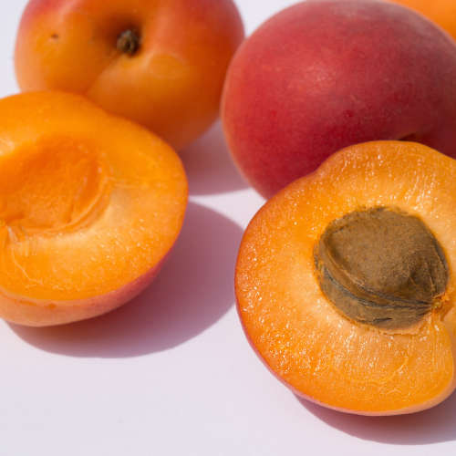 Apricot Fragrance Oil - 10ml