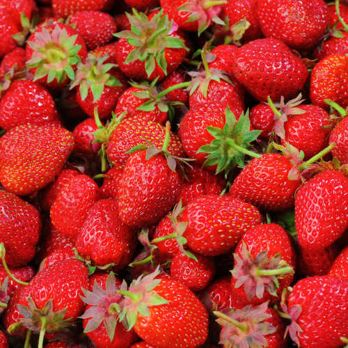 Strawberry Fragrance Oil - 1L