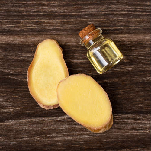 Ginger Essential Oil - 11ml (NA)