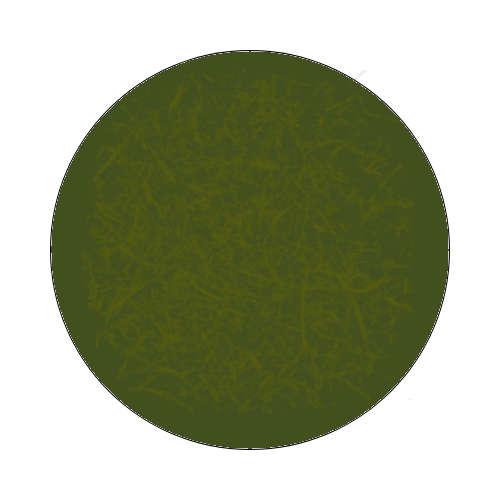 Bronze Green Pearlescent Mica - 100ml