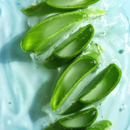 Aloe Vera Gel (Clear) - 500ml