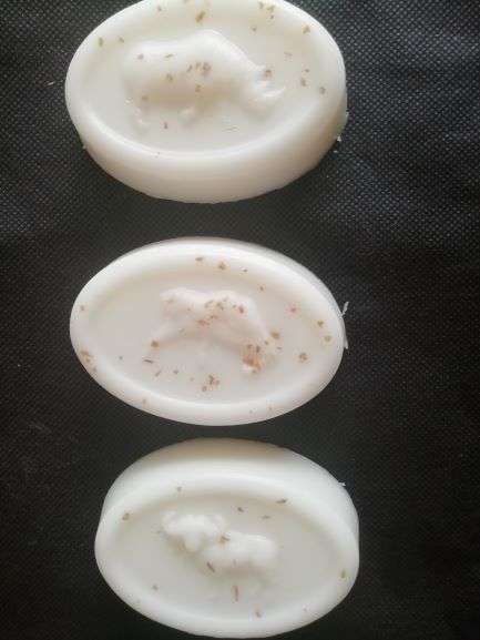 PVC Soap Mould Wildlife - DH04