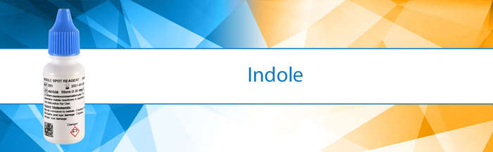 Rapid Indole Reagent 500ML