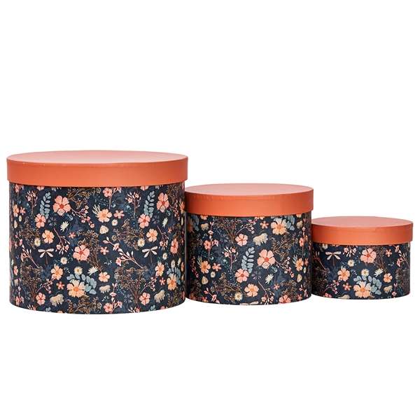 Nested Circle Boxes 3 Midnight Madness