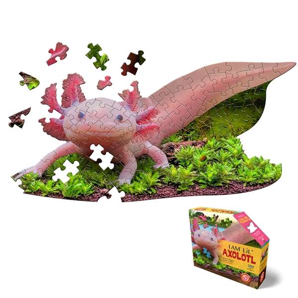 I Am Lil Axolotl Jigsaw Puzzle 100Pc