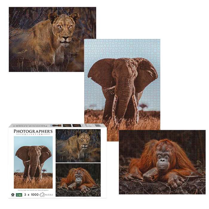 Ambassador - Photographers Collection: 3 x 1000 Piece Puzzle Bundle - Elephant, Lioness and Orang...