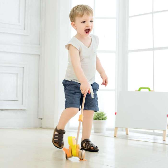 Classic World - Pull & Push Toy - Duck