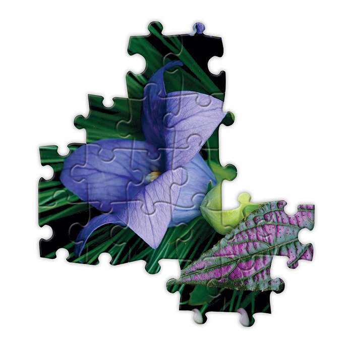 eeBoo - Summer Garden 1000pc Puzzle