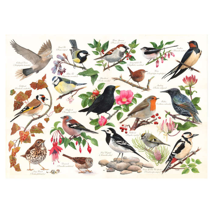 House of Puzzles - Birds In My Garden - 1000 Piece Jigsaw Puzzle