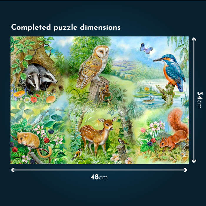 House of Puzzles - Nature Study - XL Pieces - 250 Piece Jigsaw Puzzle